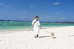 愛犬と泊まれる客室