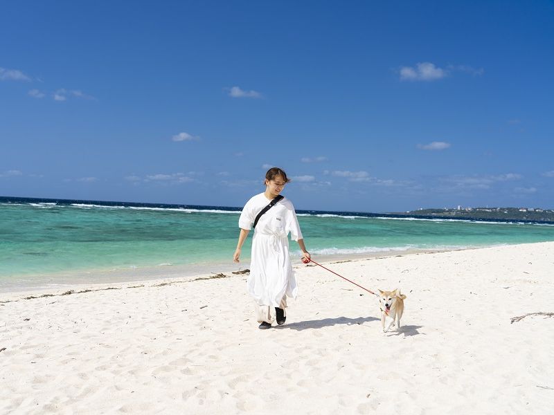 //www.tabirai.net/hotel/cms/wp-content/uploads/2021/10/b8bfa1cc196dae88ad8021748893b57d.jpg