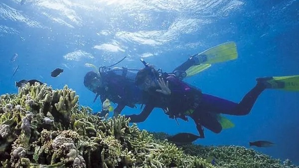 体験ダイビング