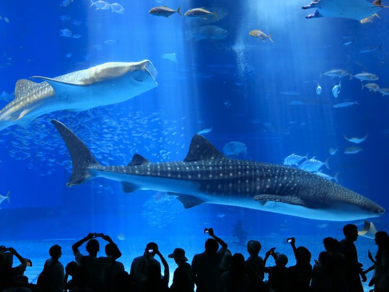 北部観光の拠点に最適