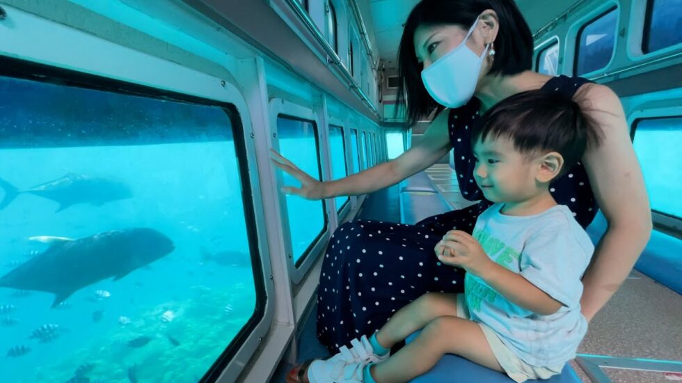 クマノミ号クルーズ