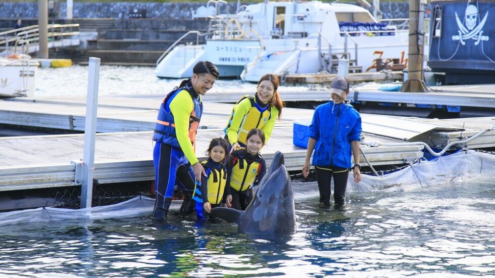 イルカが住むリゾートホテル