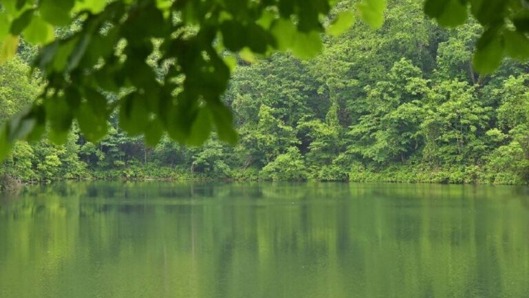 半月湖畔自然公園｜ニセコの原生林に抱かれた無垢な水辺で深呼吸