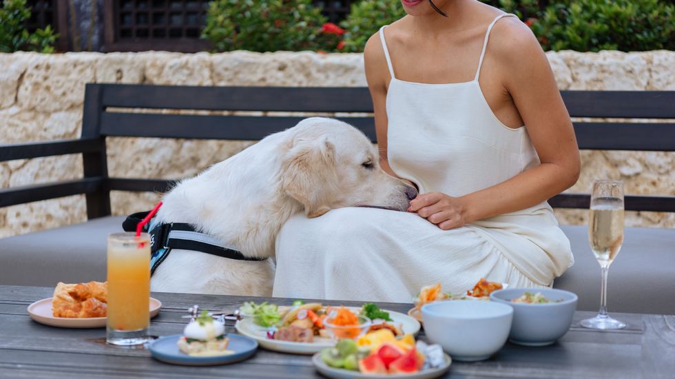 シギラミラージュ_ドッグフレンドリー