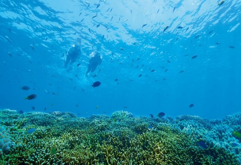 シュノーケリング