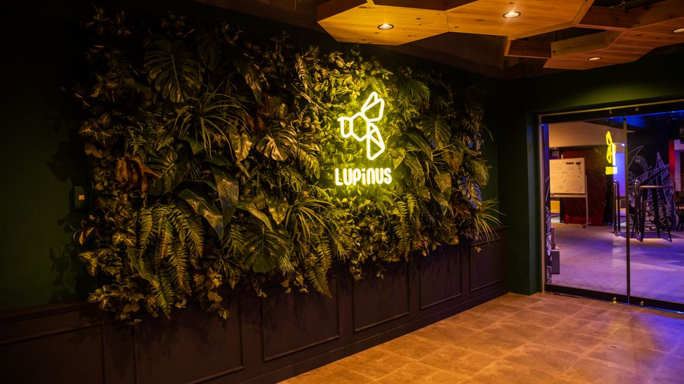 LUPiNUS（ルピナス）入り口