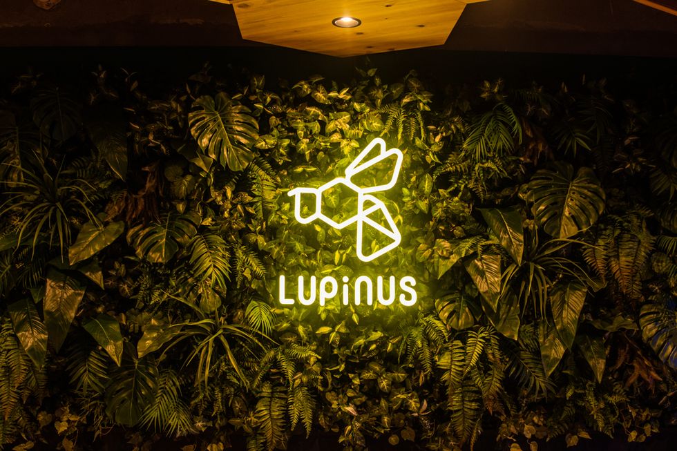 カヌチャリゾート_LUPiNUS_公式提供