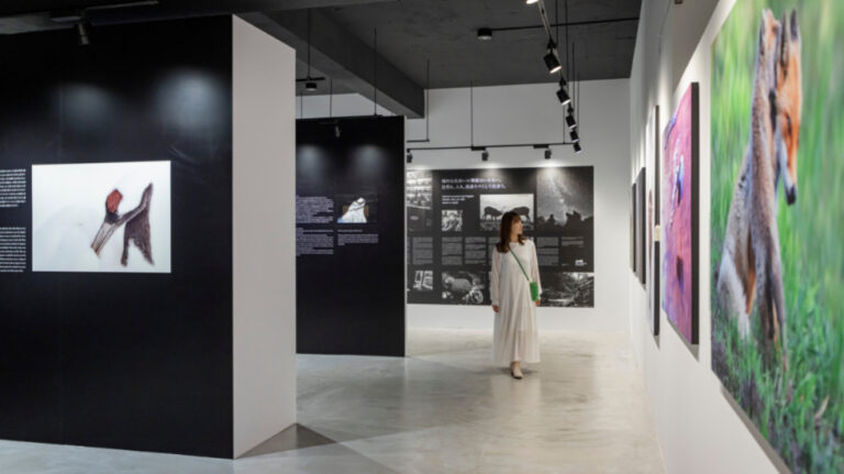 ホテルから徒歩1分の場所にある「阿寒アートギャラリー＆ギフトショップ」