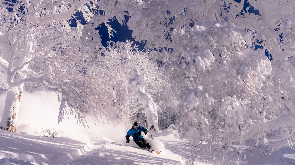 世界中からスキーヤーが集まる極上のゲレンデ