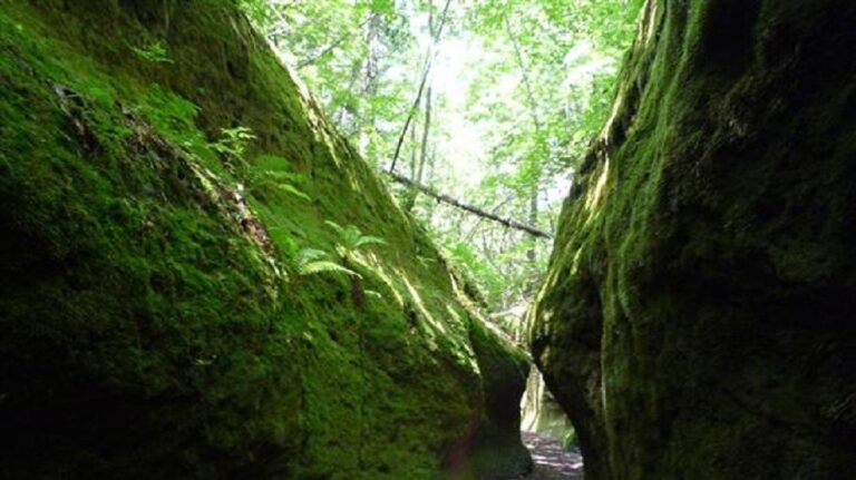 千歳市苔の洞門｜まるで緑の絨毯を敷き詰めたよう！岩壁がコケで覆われた天然の回廊