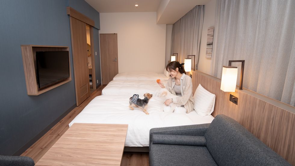 愛犬と札幌旅行を楽しめるワンちゃんルーム