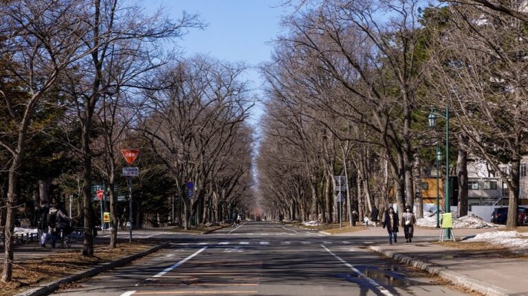 北大とその周辺を散策しよう！ ～カフェ、ランチ、書店まで～