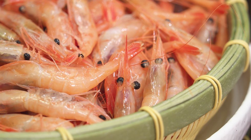 甘えびやいくら、ずわいがにが食べ放題