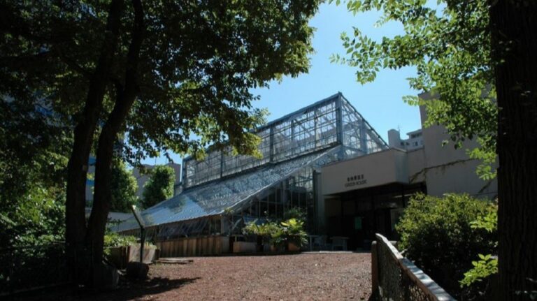 「北海道大学植物園」ガーデン好きにもおすすめ。約4000種類の植物が栽植された、札幌の花の楽園