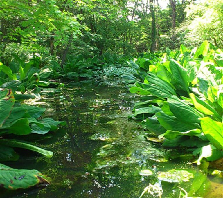 恵庭・北広島の人気観光スポット21選