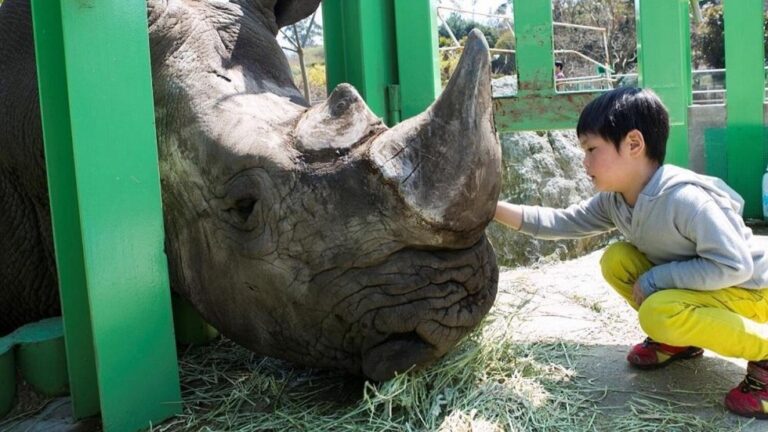 子供が喜ぶ！夏の思い出作りは【伊豆アニマルキングダム】