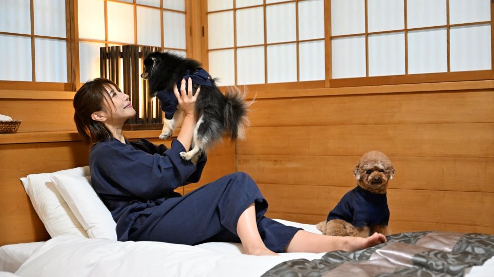 24時間わんちゃんと一緒をかなえるラグジュアリーステイ