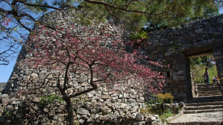 世界遺産・今帰仁城　英雄伝説の残る絶景