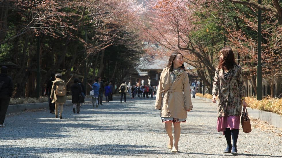 たびらいスタッフが見て、聞いて、感じたモノ・コトをお届け