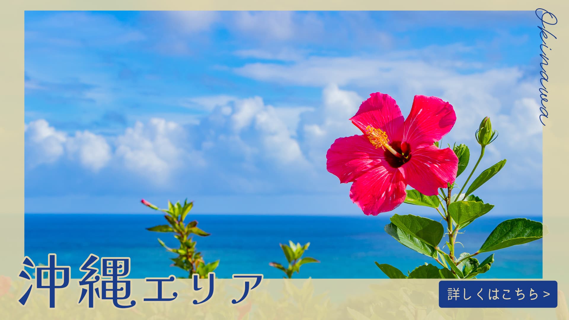 沖縄エリアトップ