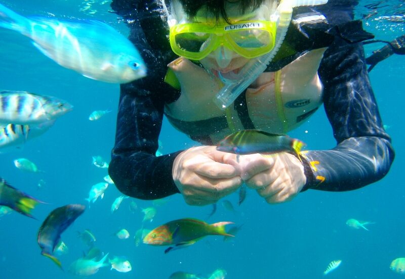 シュノーケルツアー