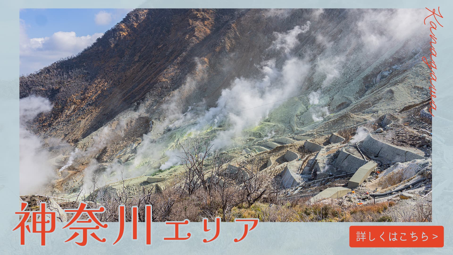 神奈川エリアトップ