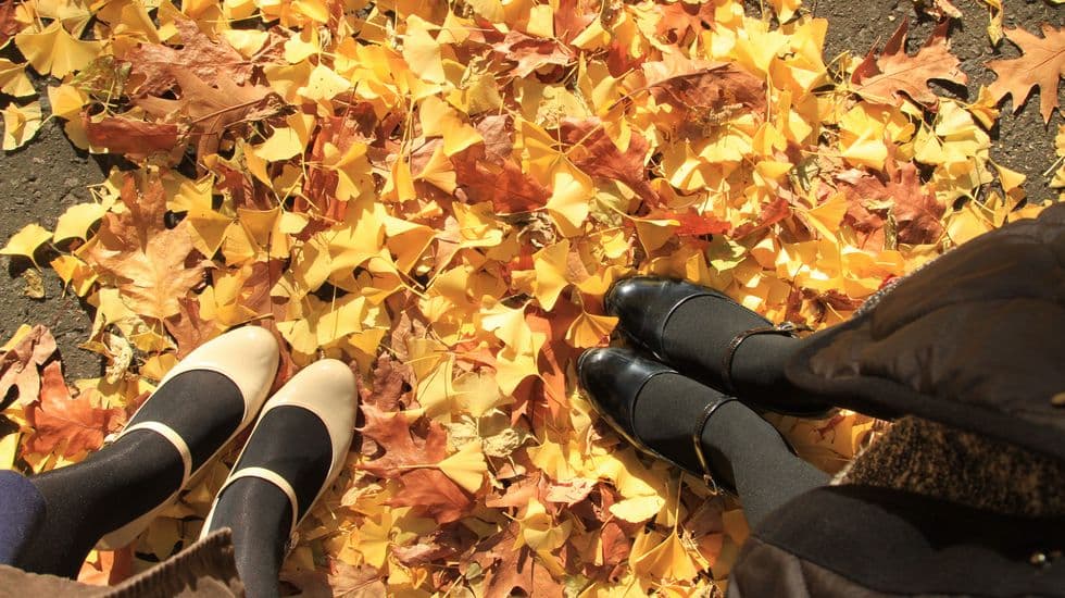 取材中のひとコマ。つねに