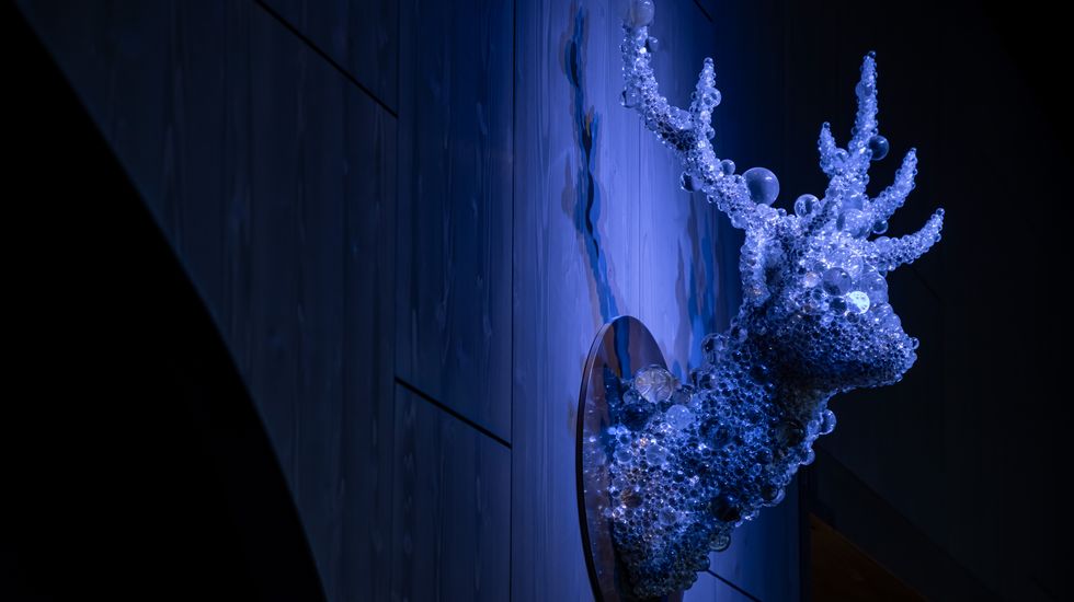 館内は美術館さながら。アート作品を体感する館内散策