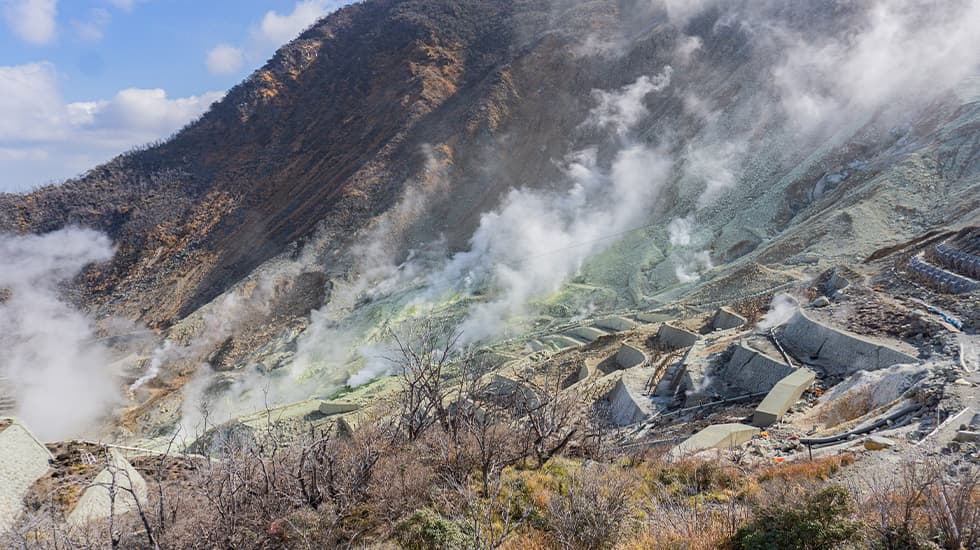 神奈川エリアトップ