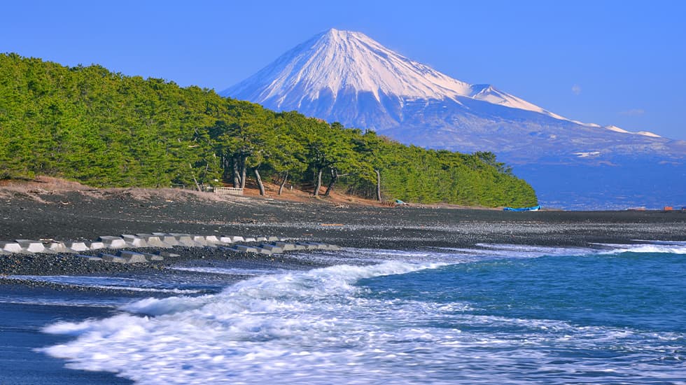 静岡エリアトップ