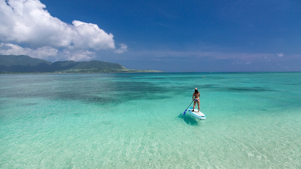 マリンアクティビティの多様な楽しみ方