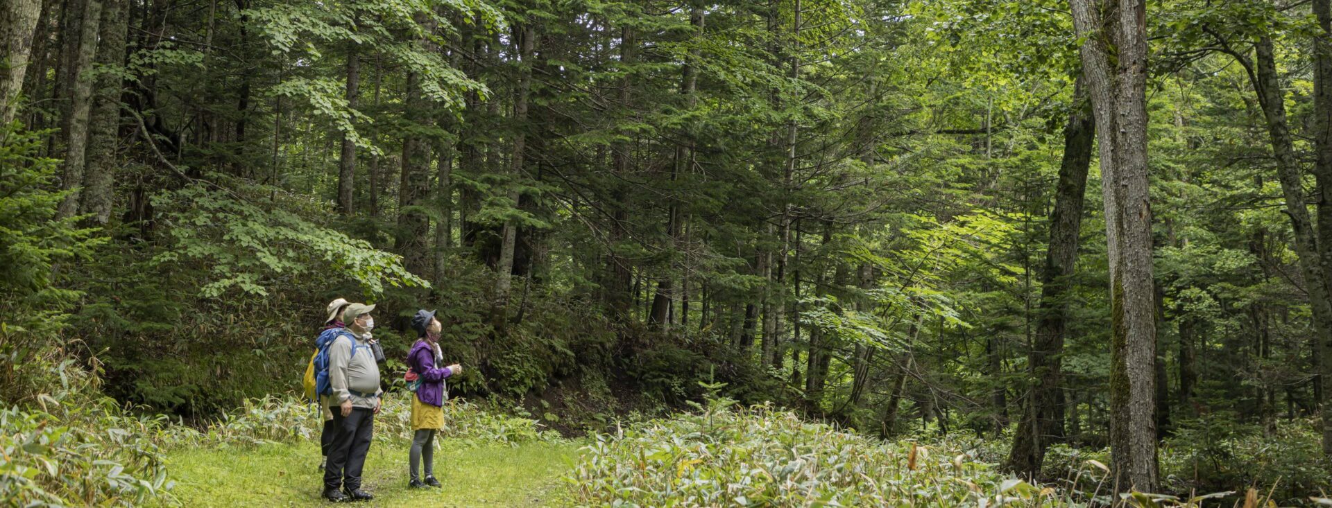 注目されているエコツーリズムとは？ 楽しみ方や具体例を紹介