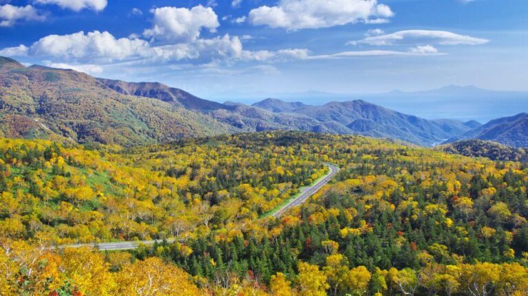 知床峠｜紅葉の美しさにも定評あり！ 羅臼岳の絶景を望む峠