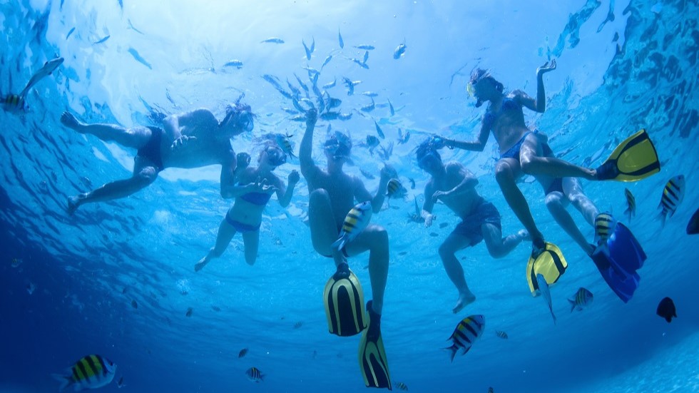 安全に楽しいシュノーケリング体験を