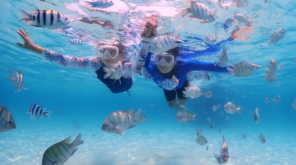 海中で色とりどりの景色を楽しんで