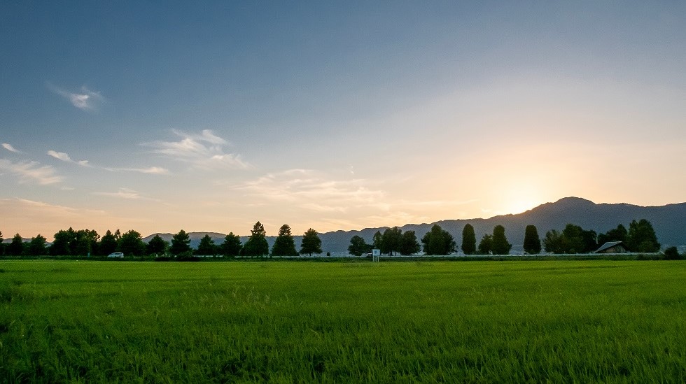 日帰りでも楽しむことができます