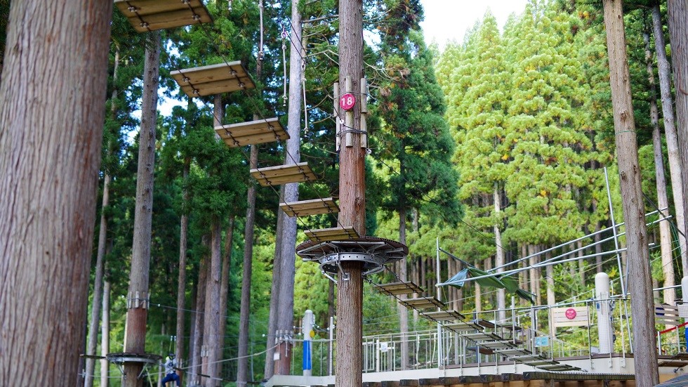 アクティビティは無料で提供されているものも多い