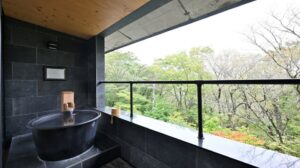 仙石原温泉 センチュリオン箱根別邸