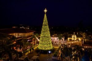 カヌチャリゾートを120％楽しみ尽くす10の方法