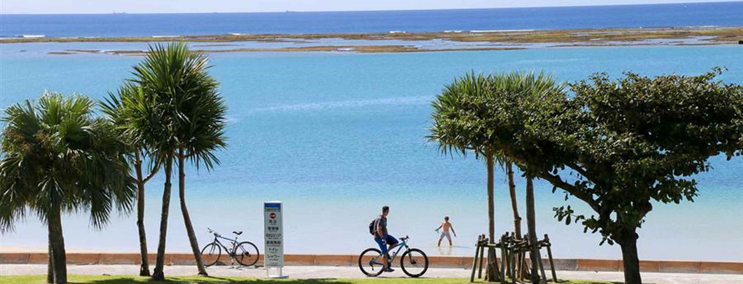 アラハビーチとは? 特徴・設備・魅力について