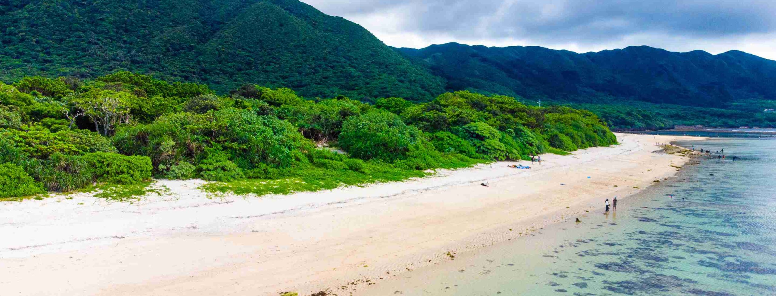 米原ビーチとは? 特徴・水質・魅力について