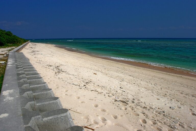 長浜ビーチ (ウーグの浜)｜村指定天然記念物モンパの木の群落がある真っ白ビーチ