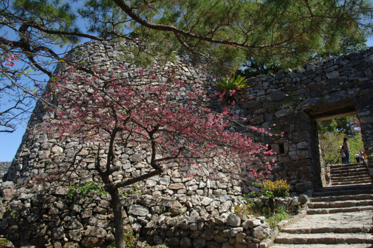 世界遺産・今帰仁城　英雄伝説の残る絶景