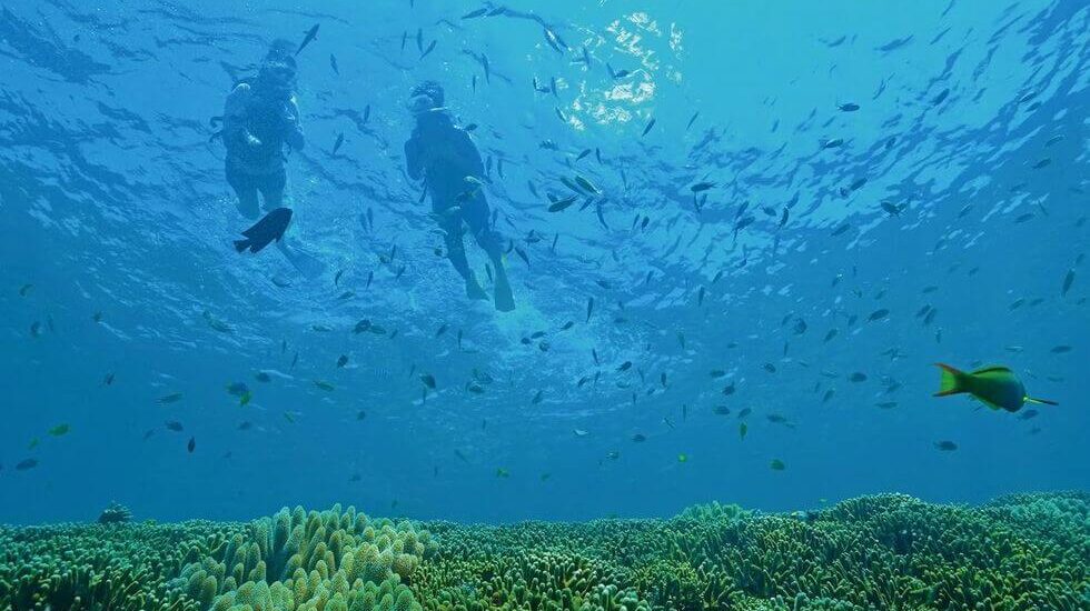 シュノーケリングツアー