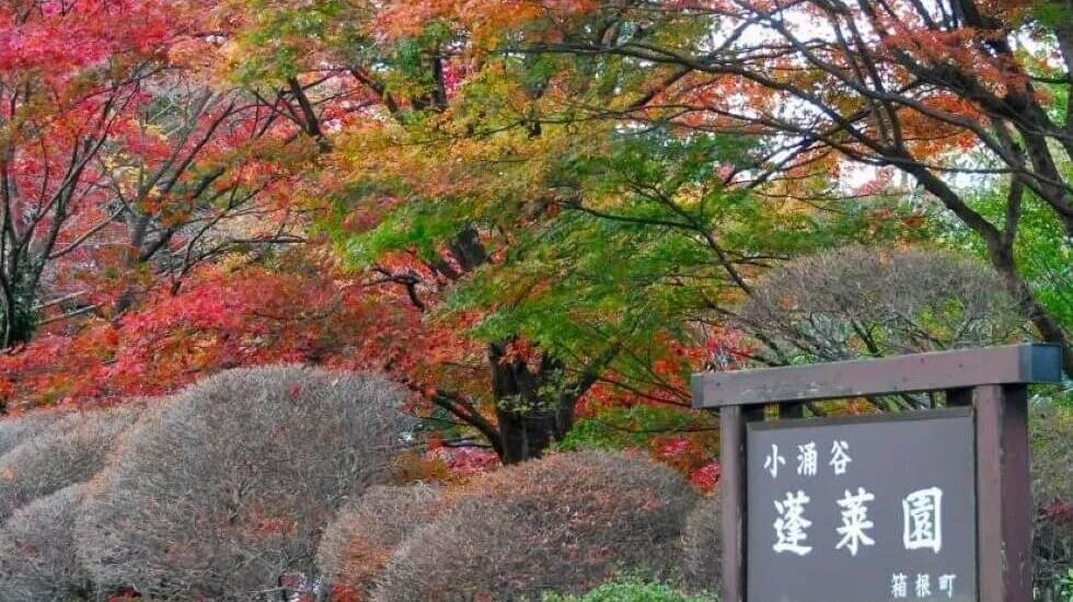 蓬莱園