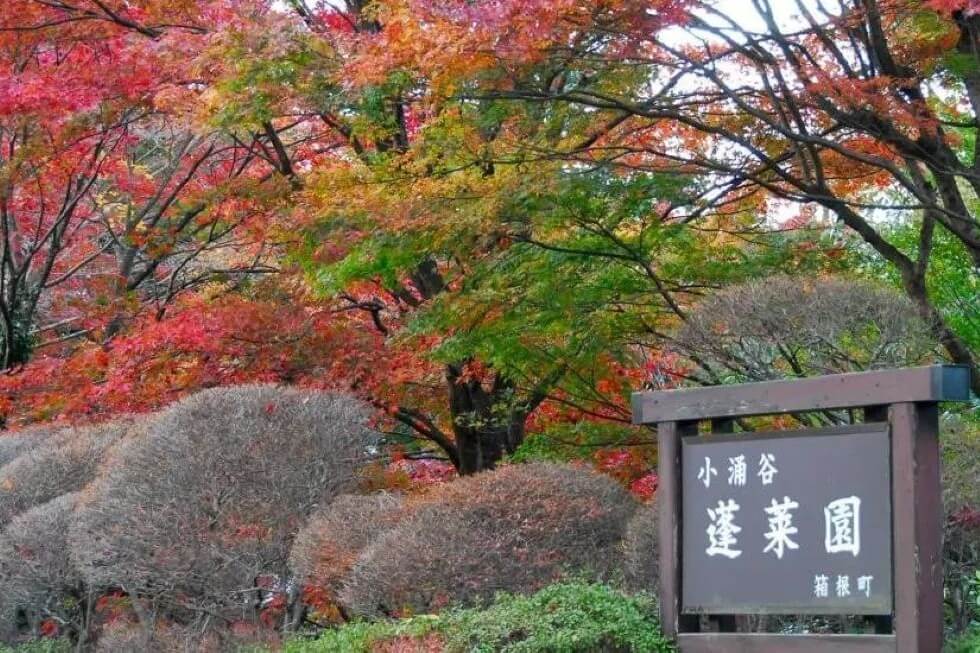 蓬莱園