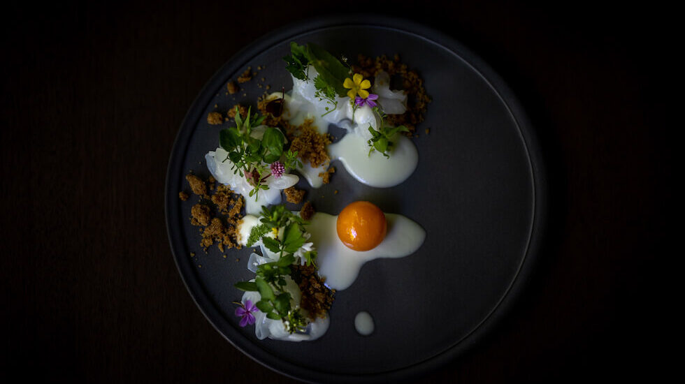 ディナー一例 歌子卵と新玉ねぎのフラン アオリイカのリュバン 野草