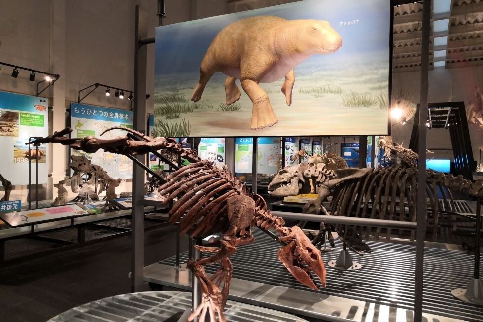 ノースフェスタミニ発掘体験