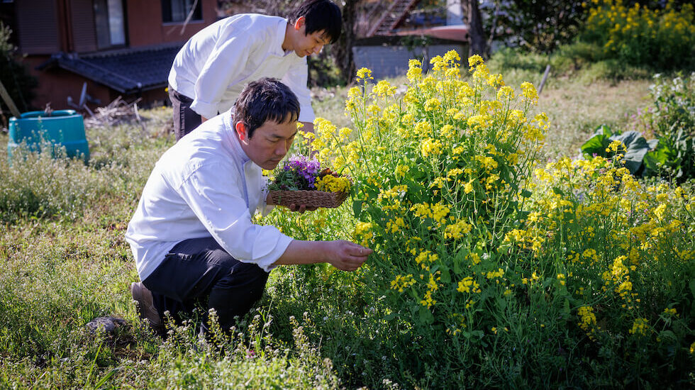 食材集めをするシェフの様子