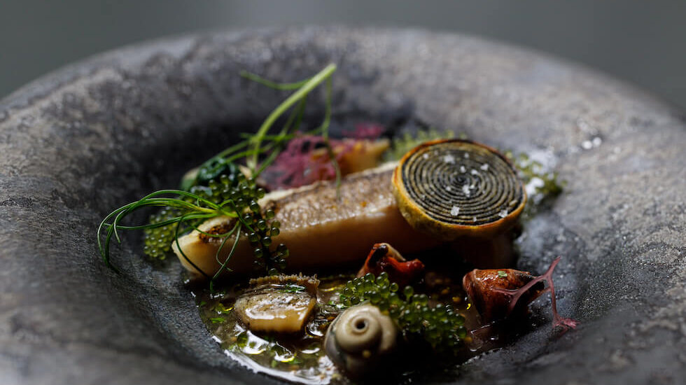 ディナーの一例 デンデンのポワレと貝と海藻ブラックオリーブソース